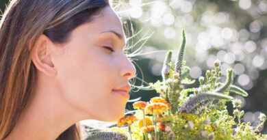 Фимиамы – запахи меняющие нашу жизнь и восприятие